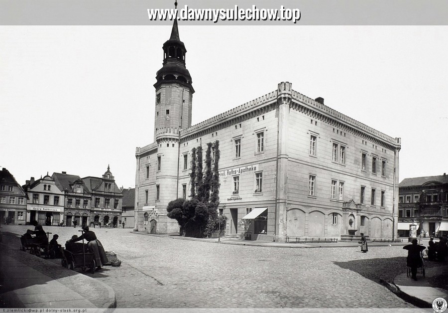 Ratusz w całej okazałości